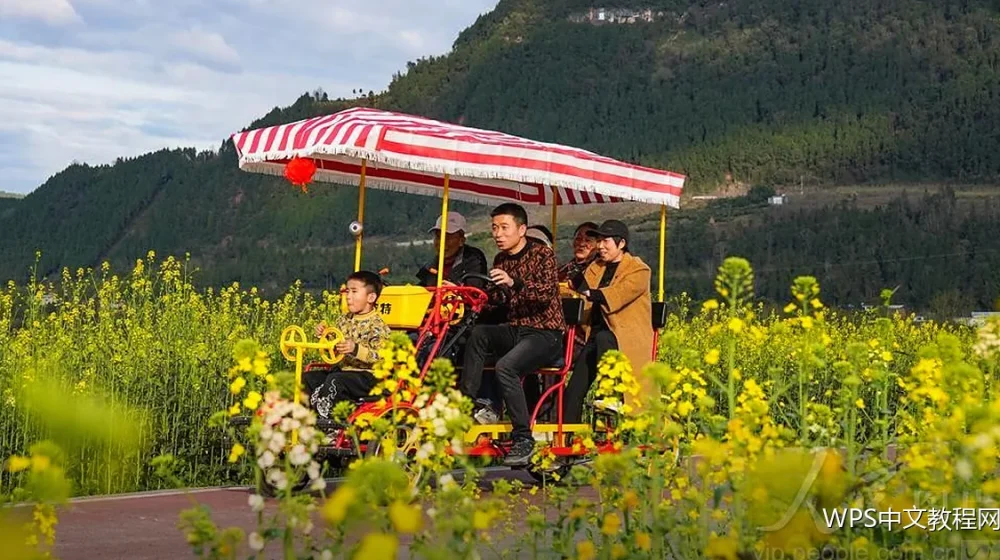 标书排版:结构与格式的合规要点