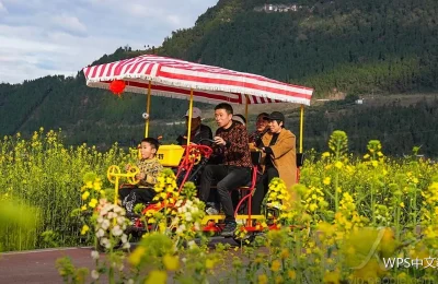 标书排版：结构与格式的合规要点