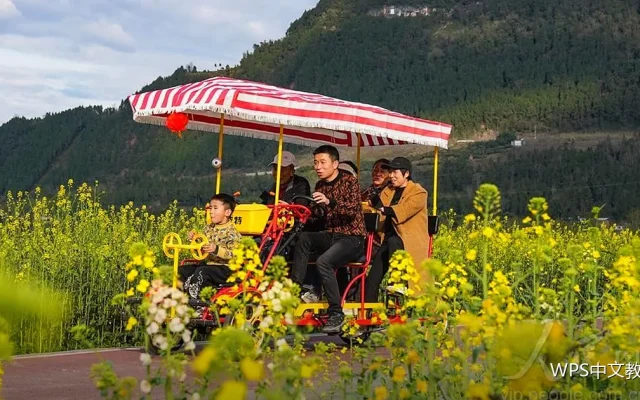 标书排版：结构与格式的合规要点
