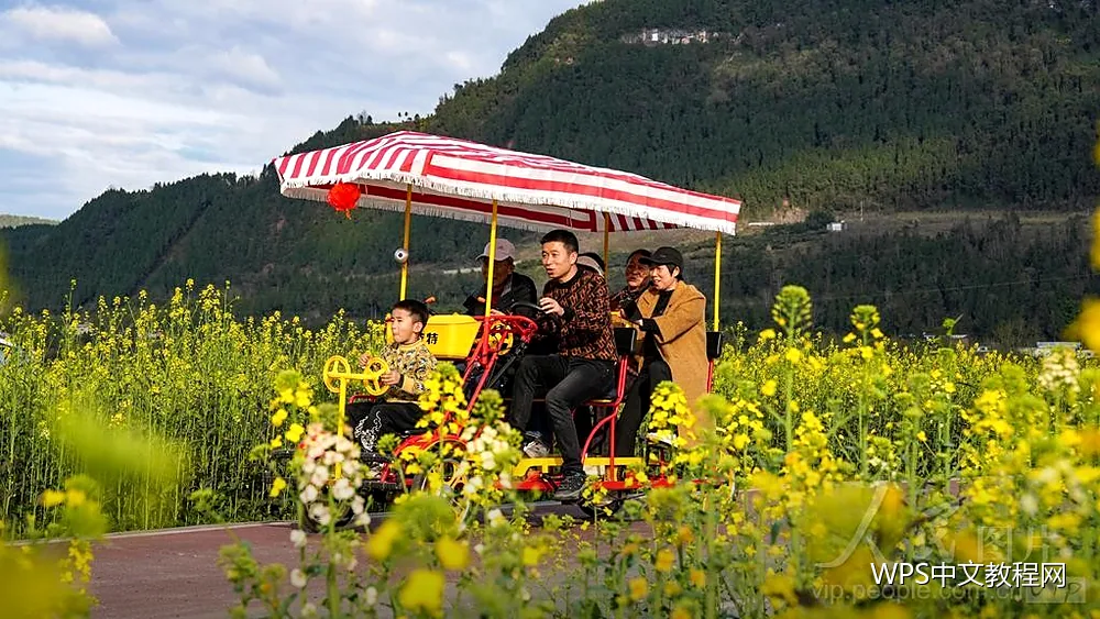 多人改稿:合并修订与冲突处理